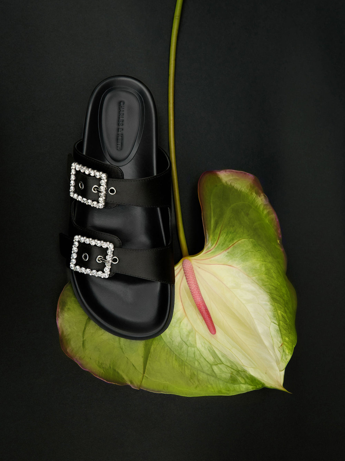 CHARLES & KEITH Special Offer / Gem-Buckle Double-Strap Sandals - Black Textured