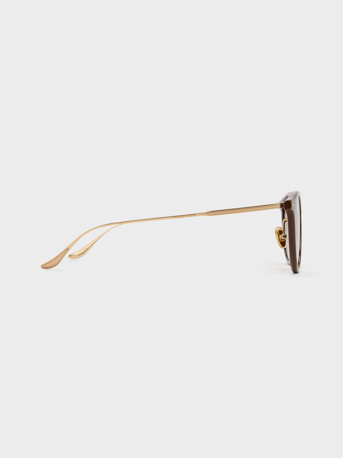 CHARLES & KEITH Exclusive / Minnow Metal-Rim Round Sunglasses - Pecan Brown