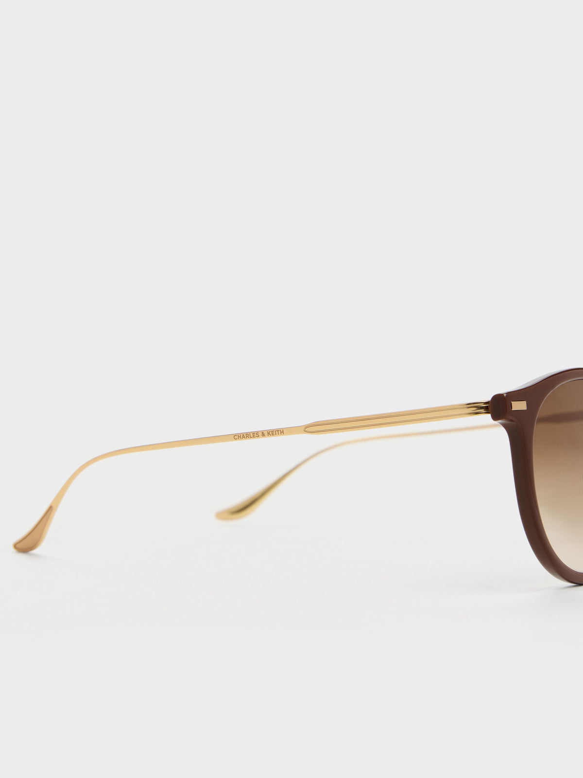 CHARLES & KEITH Exclusive / Minnow Metal-Rim Round Sunglasses - Pecan Brown