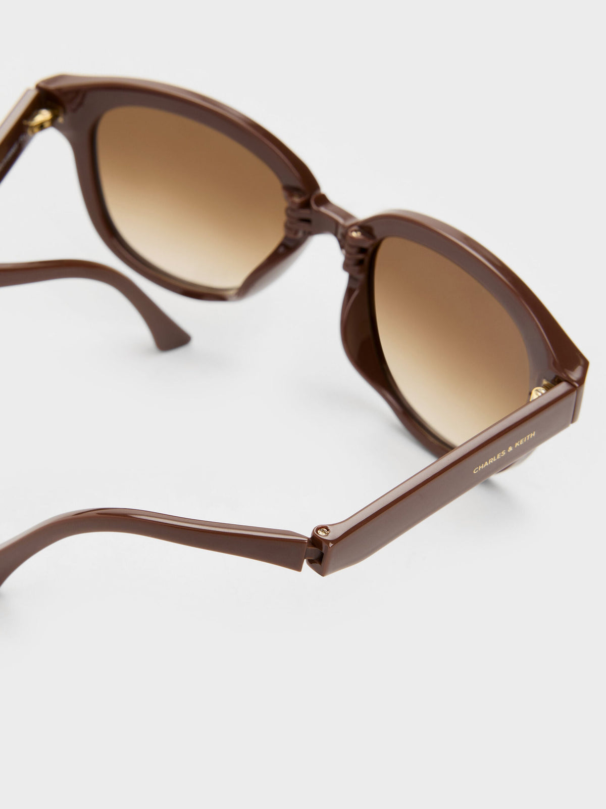 CHARLES & KEITH Classic / Brea Round Sunglasses - Pecan Brown