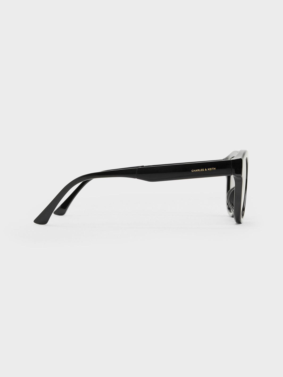 CHARLES & KEITH Classic / Brea Round Sunglasses - Black