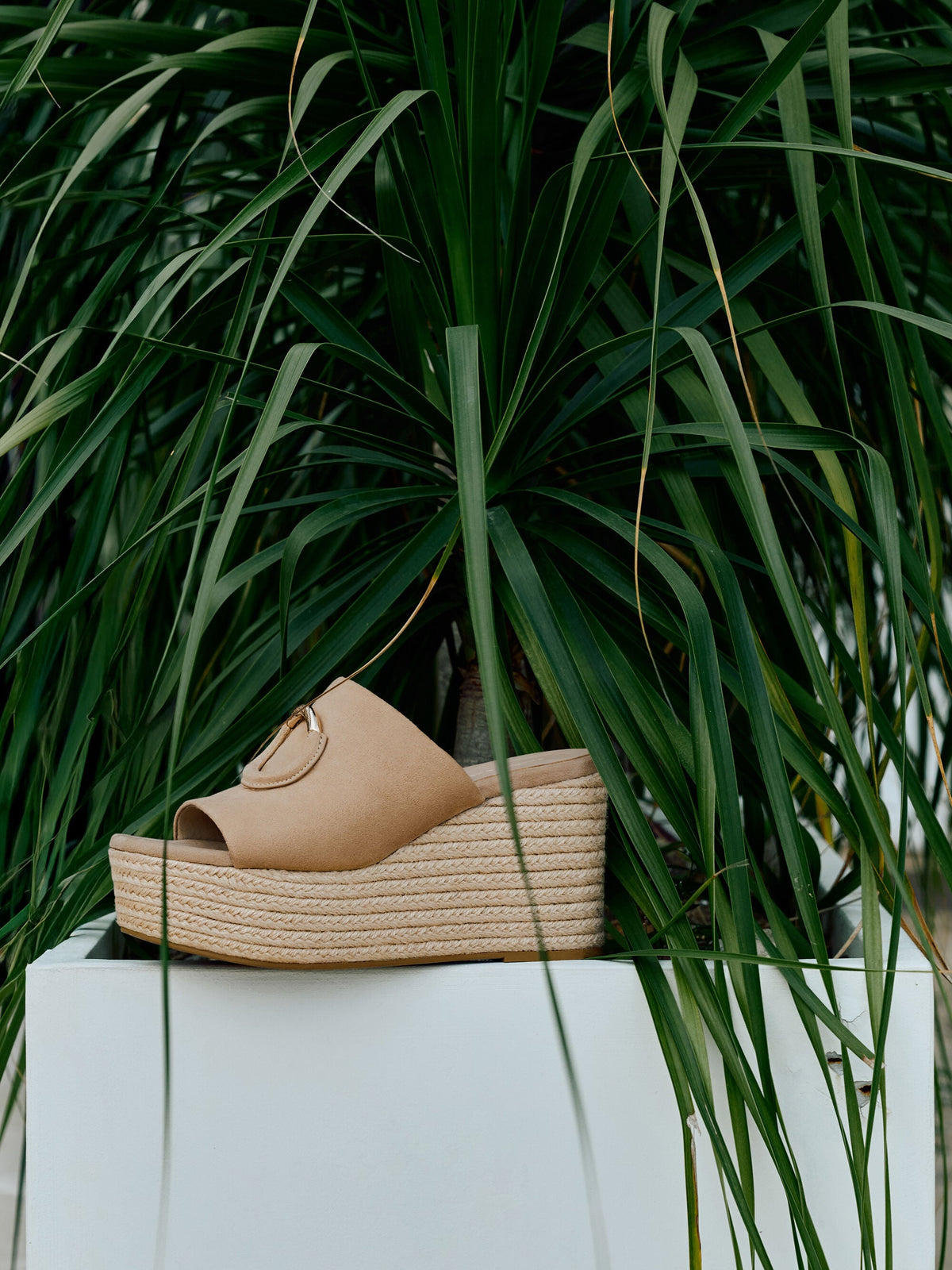 CHARLES & KEITH Best Price / Faux Suede Metallic-Accent Espadrille Wedges - Sand