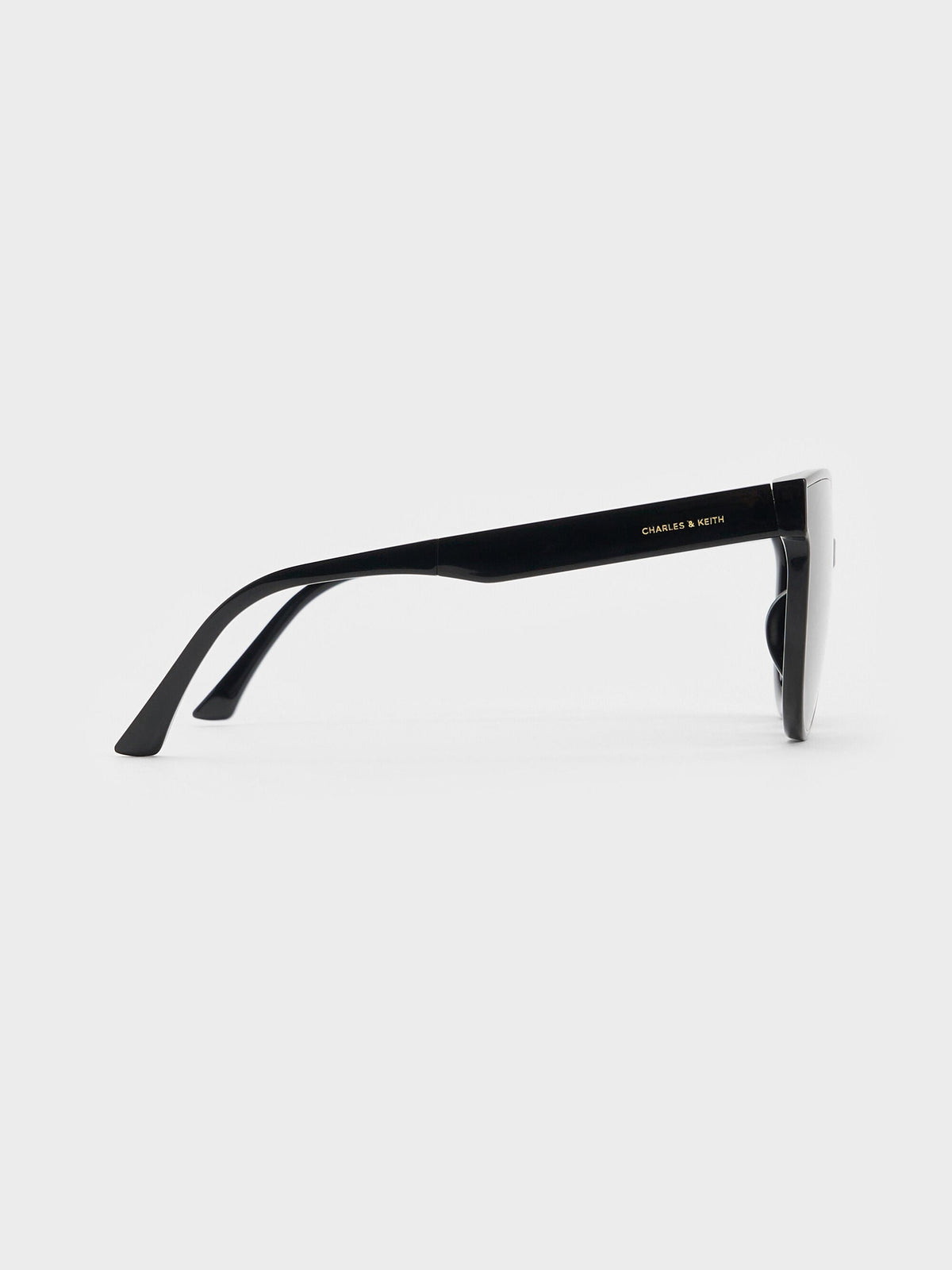 CHARLES & KEITH Trusted / Brea Foldable Aviator Sunglasses - Black
