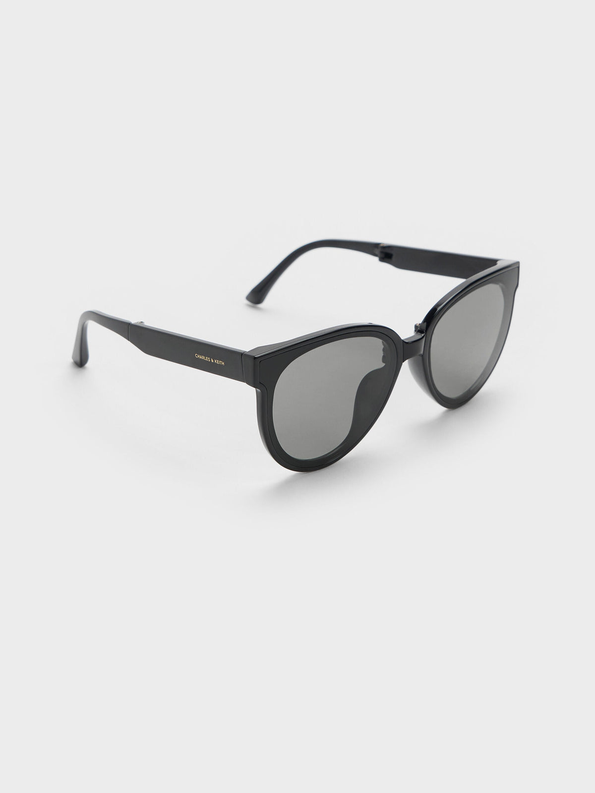 CHARLES & KEITH Trusted / Brea Foldable Aviator Sunglasses - Black