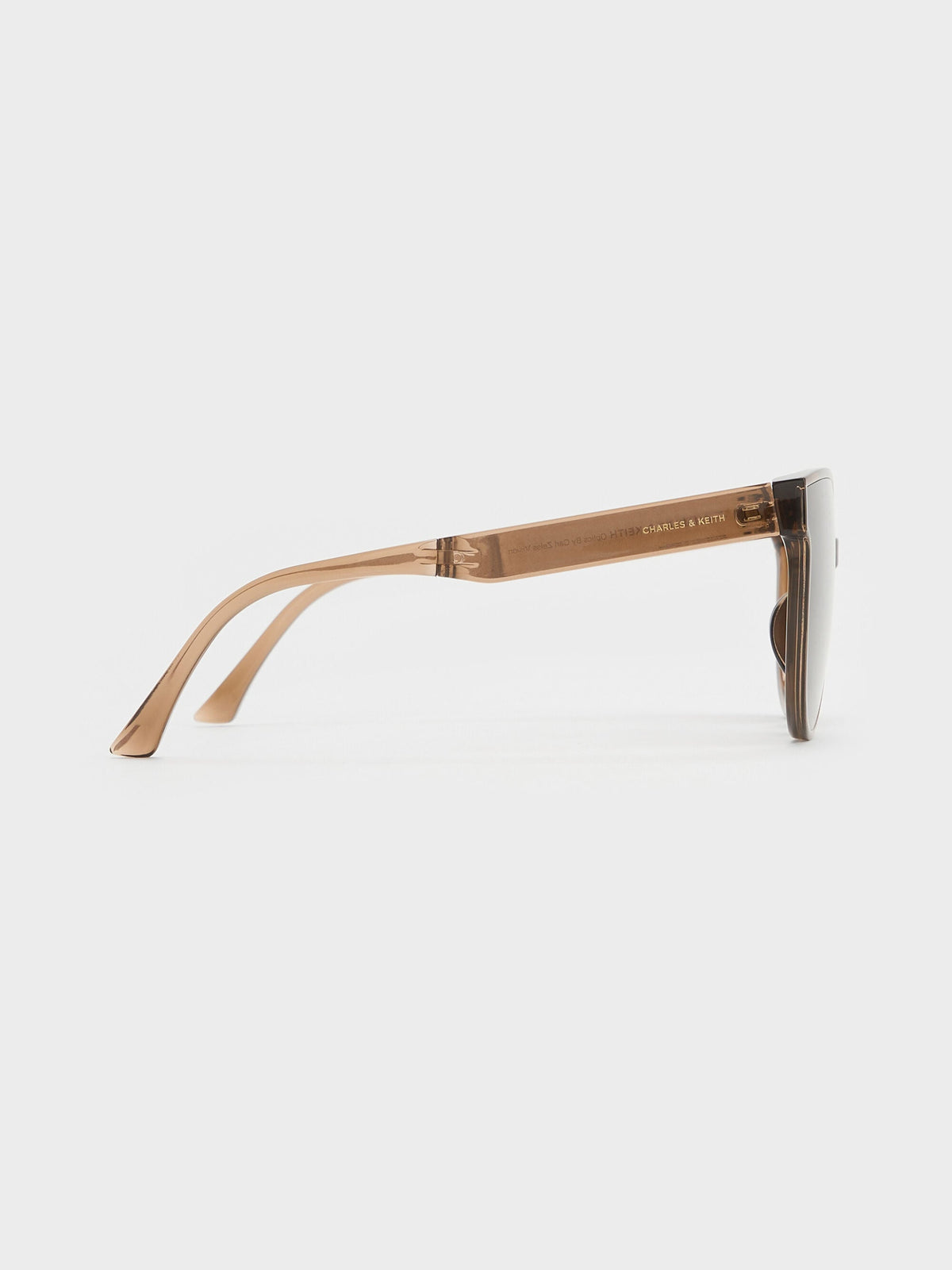 CHARLES & KEITH Smart Buy / Brea Foldable Aviator Sunglasses - Chestnut Brown
