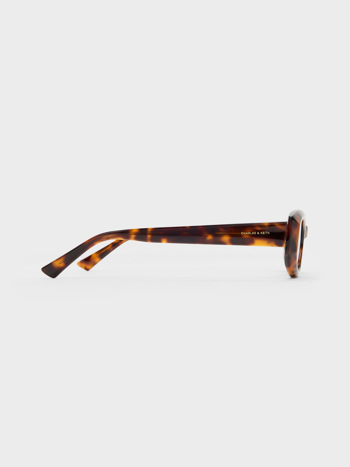 CHARLES & KEITH Classic / Aubrey Oval Sunglasses - T. Shell