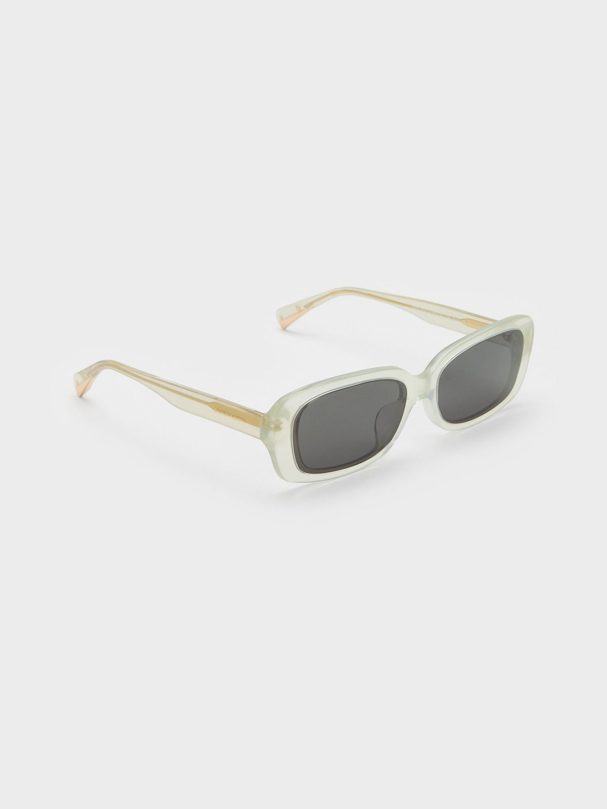 CHARLES & KEITH Featured / Aubrey Rectangular Sunglasses - Mint Green